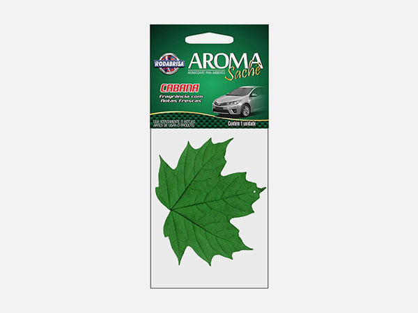 Estética Automotiva